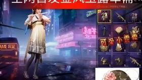 普通军需最新爆料图片,普通军需爆料图片大曝光