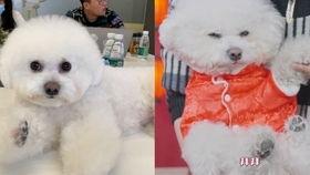 付大锤最新爆料,娱乐圈最新重磅爆料！